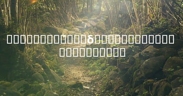 ���������࿴��δ������ɶ�ӹ��� �������࿴��